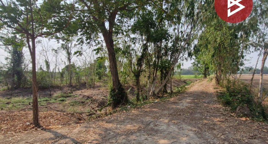 For sale land in Sam Ngam, Phichit