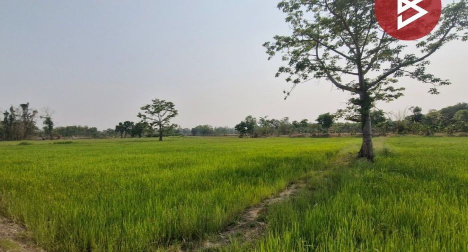 For sale land in Sam Ngam, Phichit