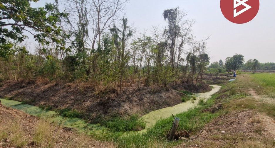 For sale land in Sam Ngam, Phichit