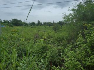 ขาย ที่ดิน ใน ปากท่อ, ราชบุรี