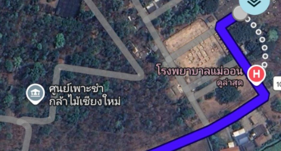 À vendre terrain à San Kamphaeng, Chiang Mai
