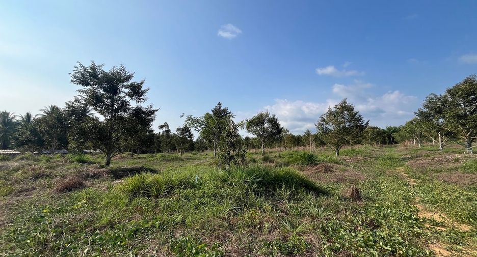 Terreno en venta en Thai Mueang, Phang Nga