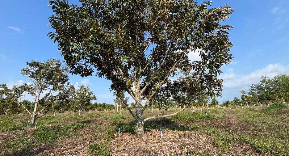 Terreno en venta en Thai Mueang, Phang Nga