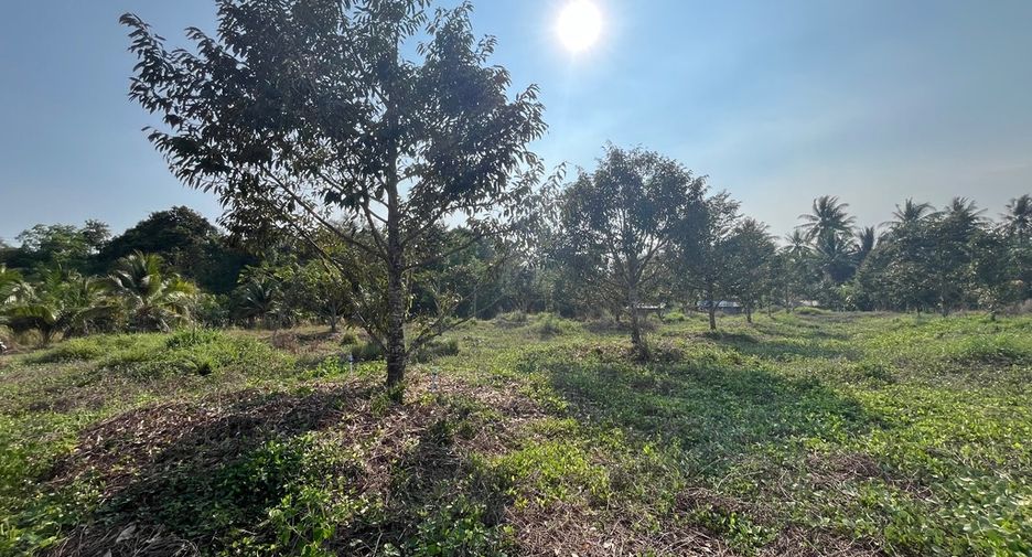 Terreno en venta en Thai Mueang, Phang Nga