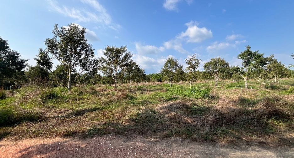 Terreno en venta en Thai Mueang, Phang Nga
