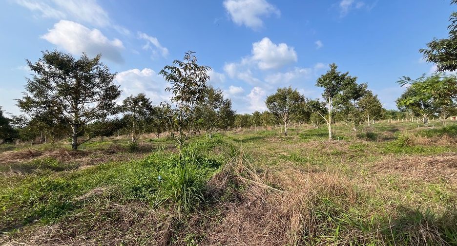 Terreno en venta en Thai Mueang, Phang Nga