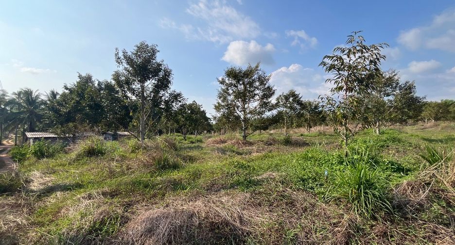 Terreno en venta en Thai Mueang, Phang Nga