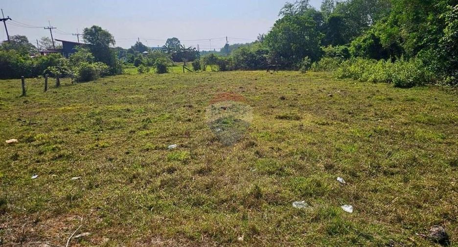 出售 土地 在 Tha Sala, Nakhon Si Thammarat