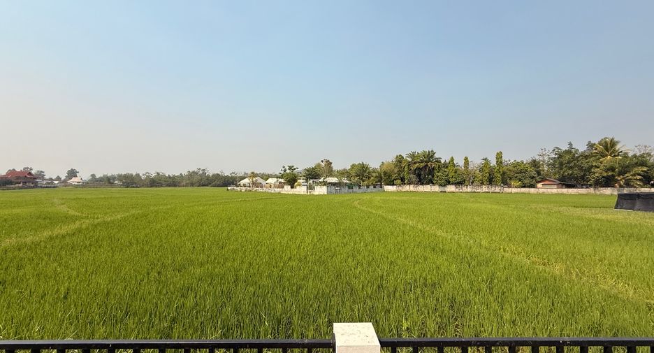 For rent and for sale 3 bedrooms house in Doi Saket, Chiang Mai