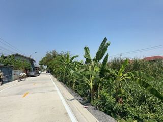 ขาย ที่ดิน ใน บางบัวทอง, นนทบุรี