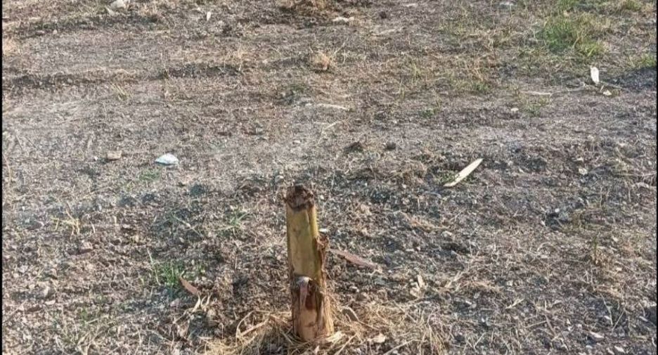 For sale land in Mueang Saraburi, Saraburi