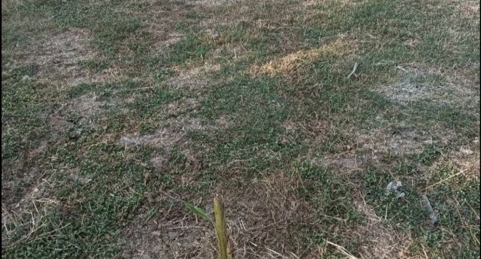 For sale land in Mueang Saraburi, Saraburi