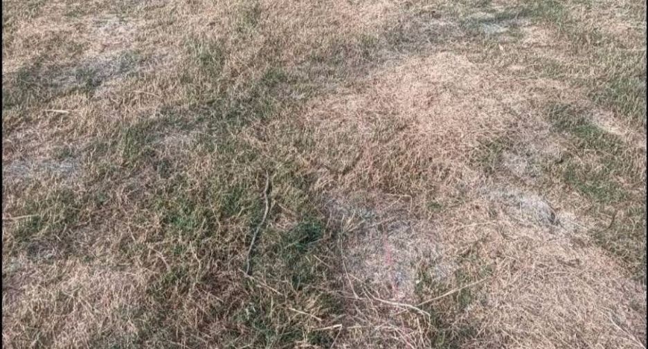 For sale land in Mueang Saraburi, Saraburi