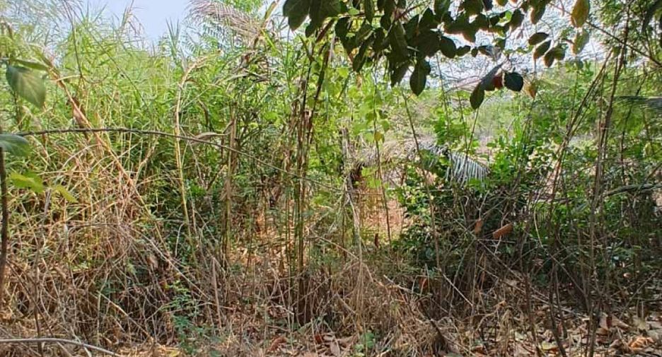Grundstück zum Kauf in Phutthamonthon, Nakhon Pathom