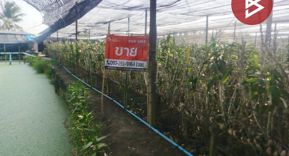Grundstück zum Kauf in Sam Phran, Nakhon Pathom