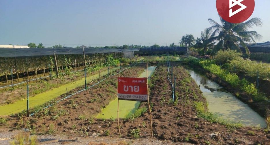 Grundstück zum Kauf in Sam Phran, Nakhon Pathom
