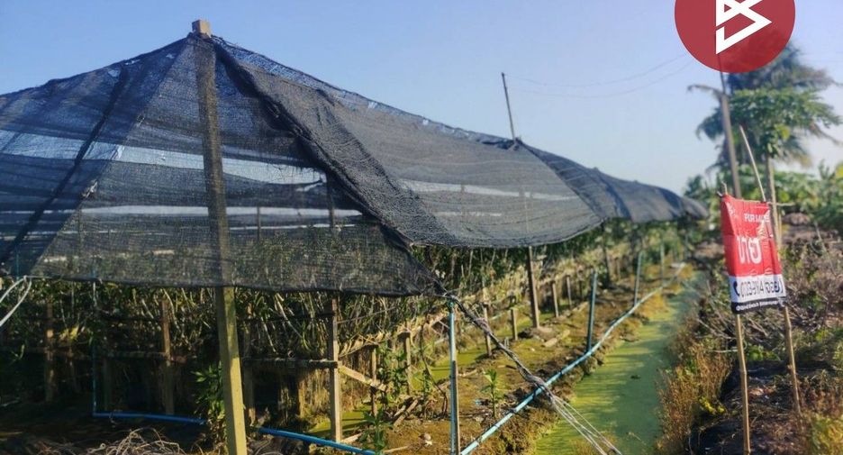 Grundstück zum Kauf in Sam Phran, Nakhon Pathom