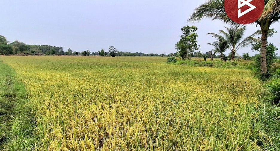 Grundstück zum Kauf in Changhan, Roi Et