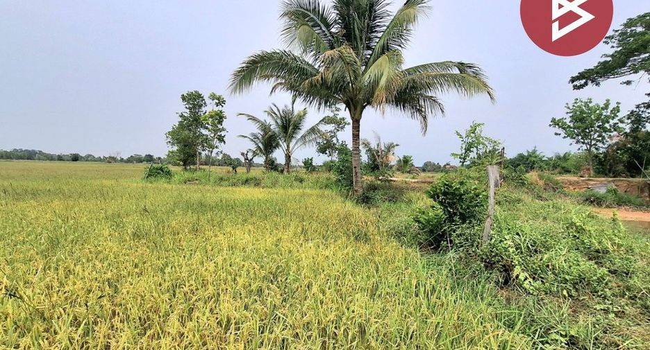 Grundstück zum Kauf in Changhan, Roi Et