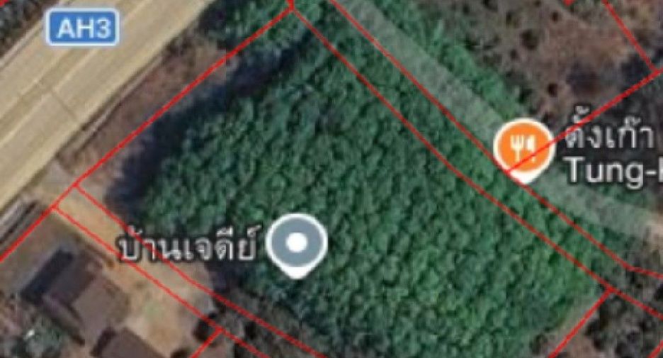 For sale land in Khun Tan, Chiang Rai