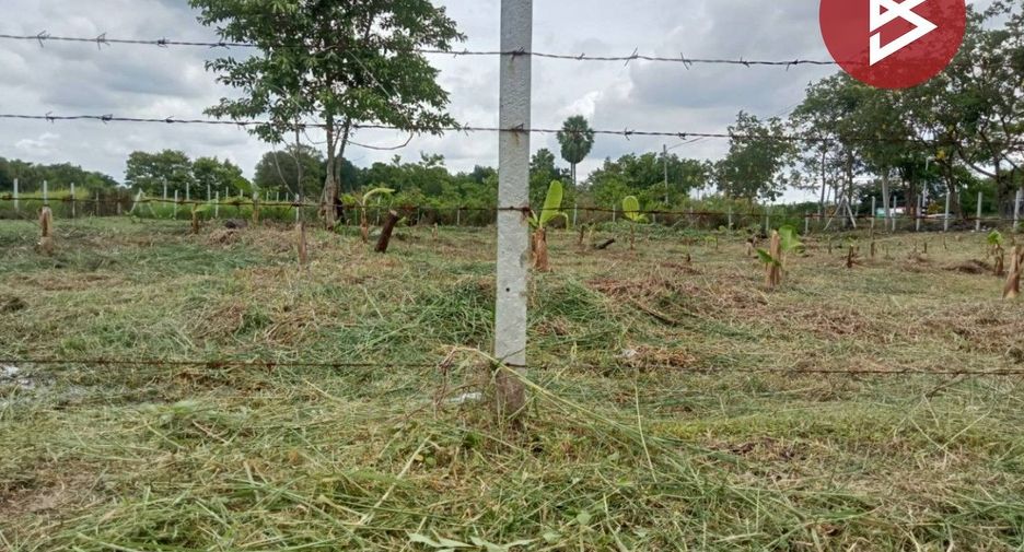 For sale land in Nong Suea, Pathum Thani