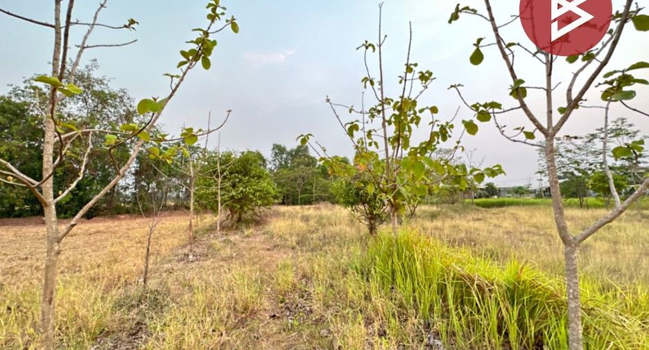 For sale land in Nong Saeng, Saraburi