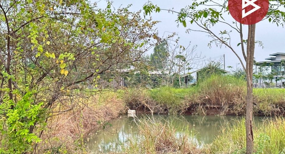 For sale land in Nong Saeng, Saraburi