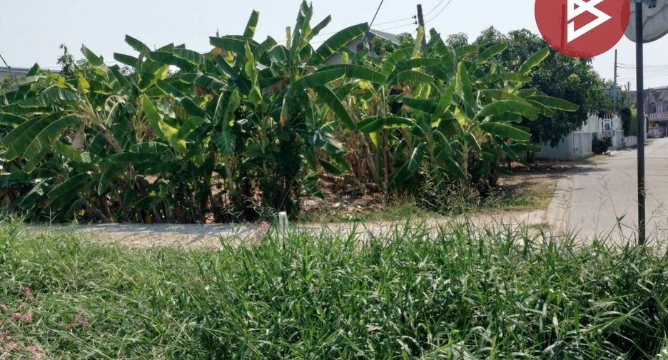 For sale land in Mueang Phitsanulok, Phitsanulok