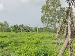 ขาย ที่ดิน ใน ท่ายาง, เพชรบุรี