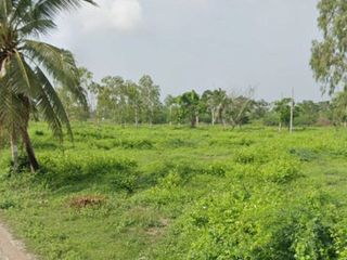 ขาย ที่ดิน ใน ท่ายาง, เพชรบุรี