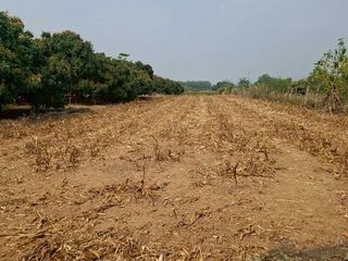 ขาย ที่ดิน ใน เทิง, เชียงราย
