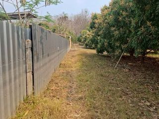 ขาย ที่ดิน ใน เทิง, เชียงราย