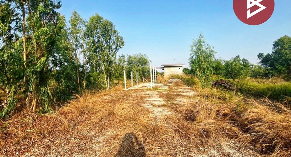 For sale land in Don Chedi, Suphan Buri