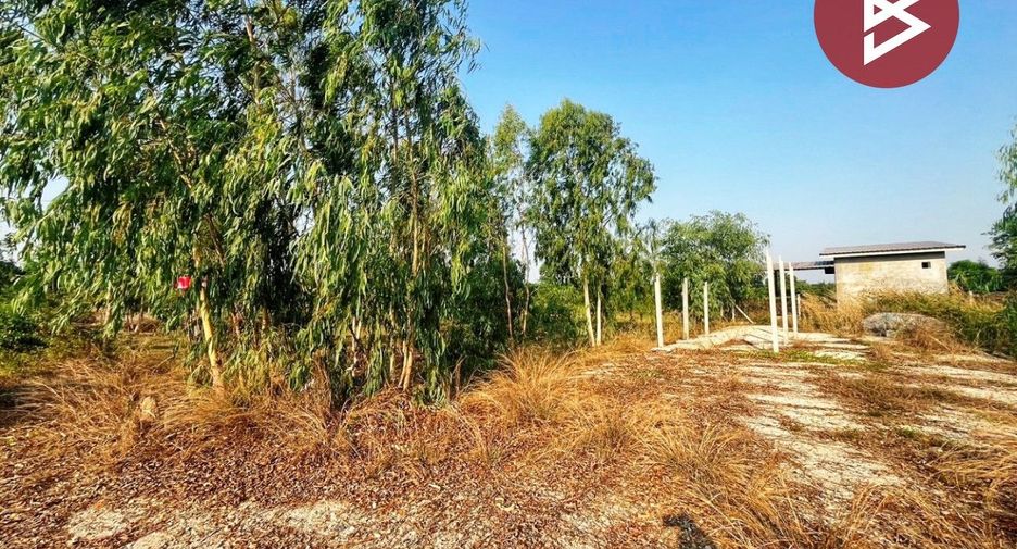 For sale land in Don Chedi, Suphan Buri