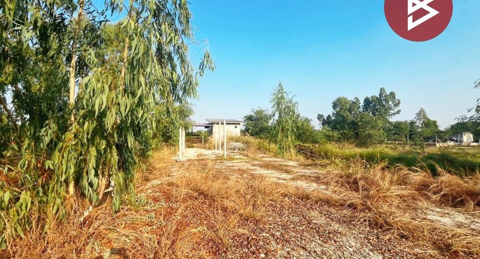 For sale land in Don Chedi, Suphan Buri