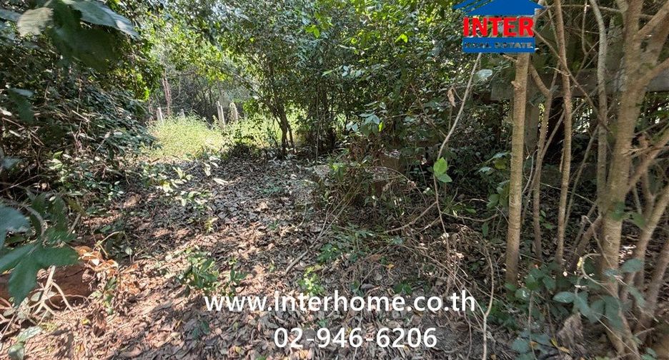For sale land in Phak Hai, Phra Nakhon Si Ayutthaya