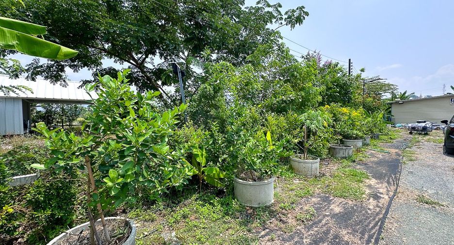 For sale land in Doi Saket, Chiang Mai