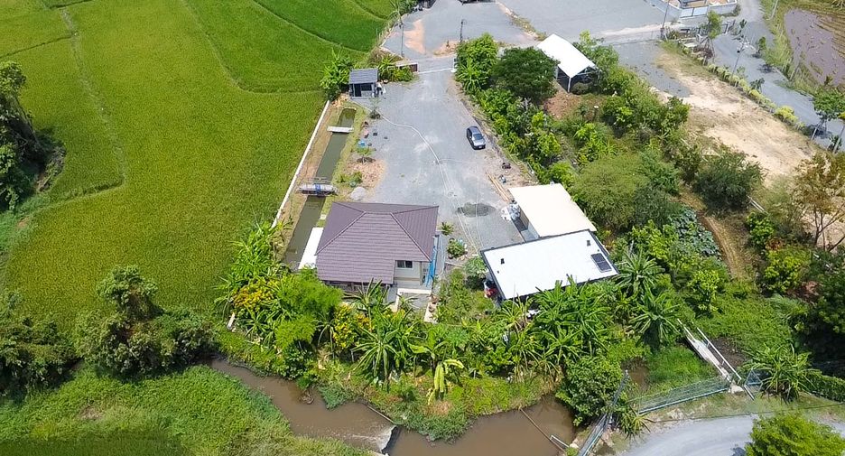 For sale land in Doi Saket, Chiang Mai