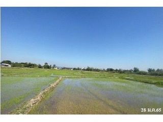ขาย ที่ดิน ใน เมืองเชียงราย, เชียงราย