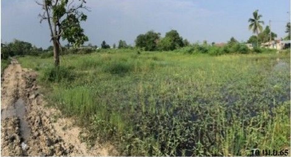 For sale land in Samoeng, Chiang Mai