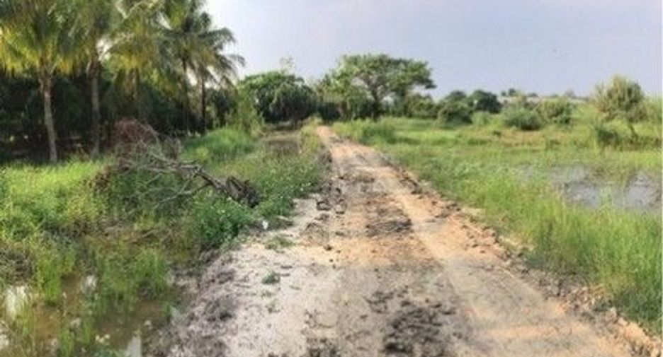 For sale land in Samoeng, Chiang Mai