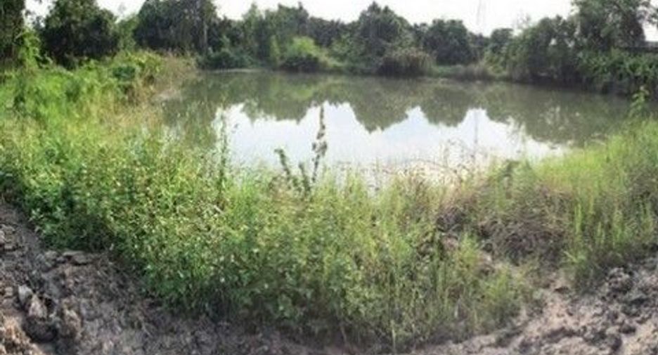 For sale land in Samoeng, Chiang Mai