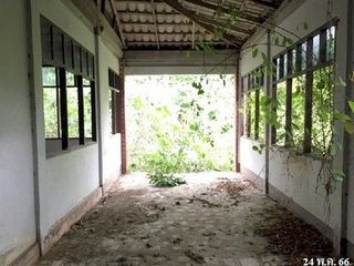 出售 土地 在 Samoeng, Chiang Mai