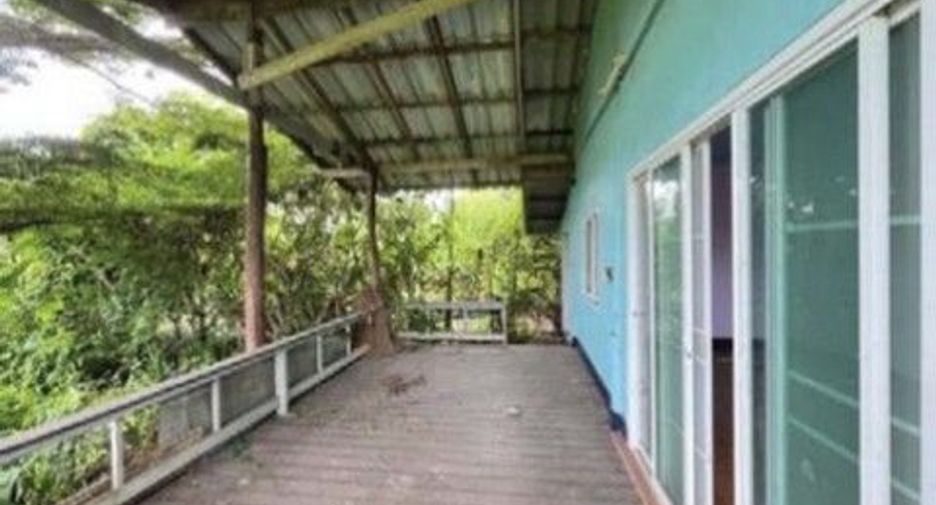 For sale land in Samoeng, Chiang Mai