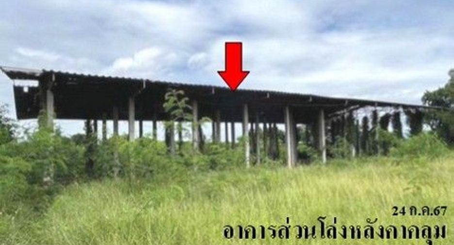 For sale land in Samoeng, Chiang Mai