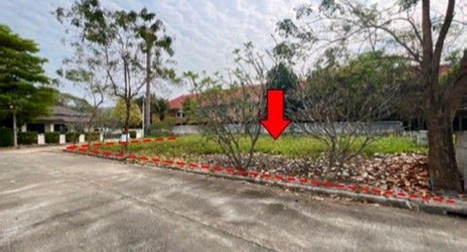 For sale land in Samoeng, Chiang Mai
