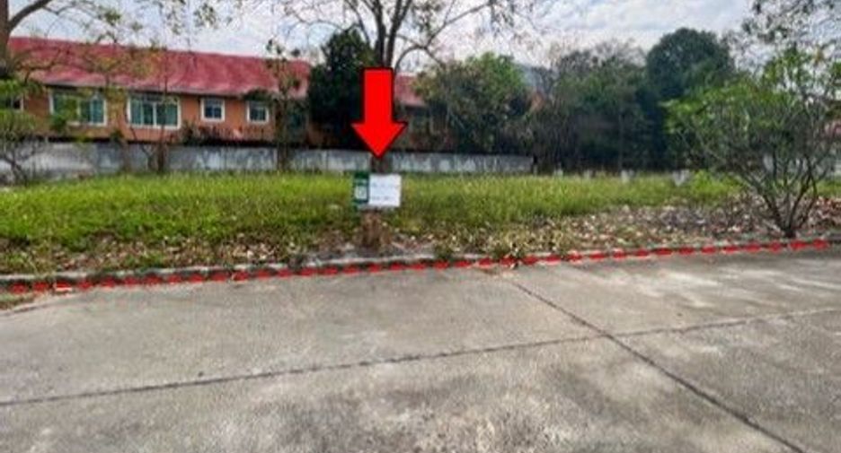 For sale land in Samoeng, Chiang Mai