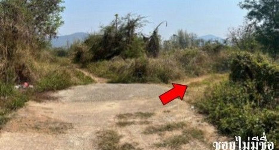 For sale land in Samoeng, Chiang Mai