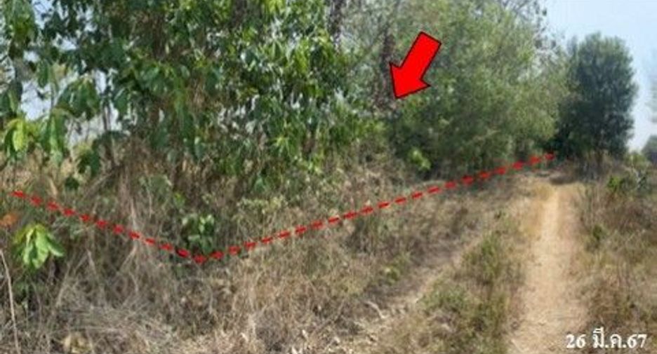 For sale land in Samoeng, Chiang Mai