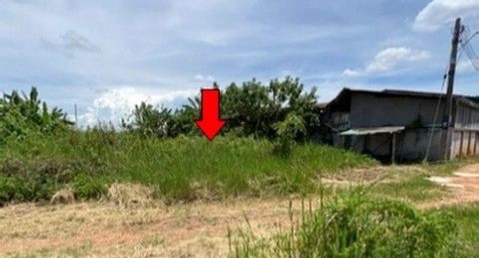 For sale land in Samoeng, Chiang Mai